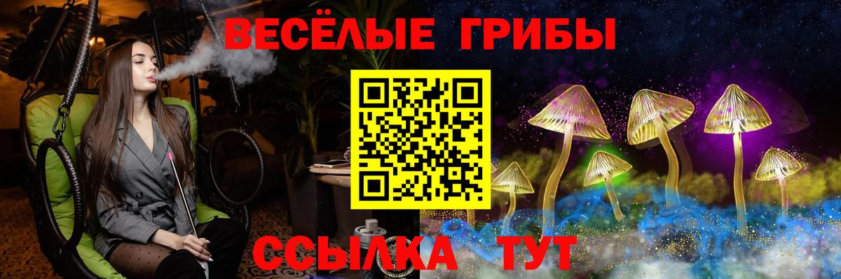 Галлюциногенные грибы мухоморы Гурьевск